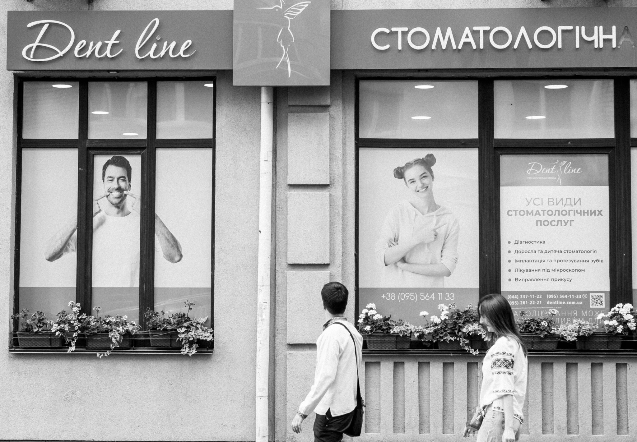Стоматология в Киеве: цены и услуги стоматологов